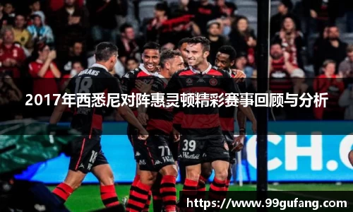 2017年西悉尼对阵惠灵顿精彩赛事回顾与分析